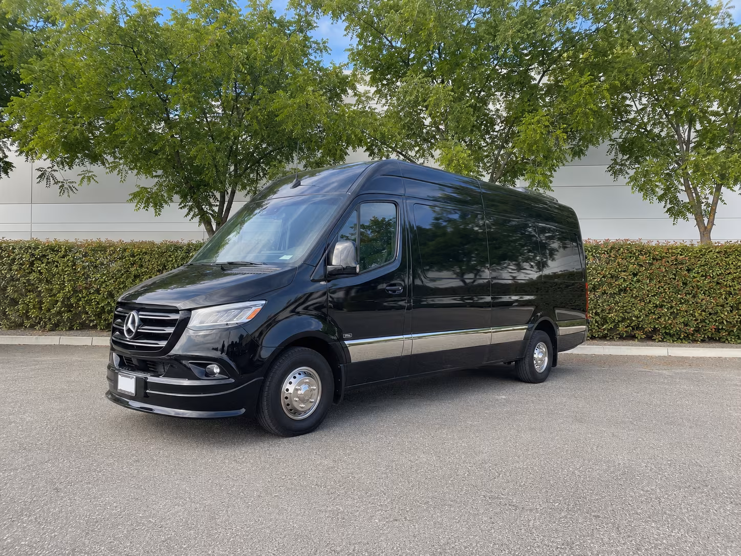 trenton sprinter van with driver